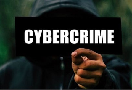 Cyber Crime Lawyer