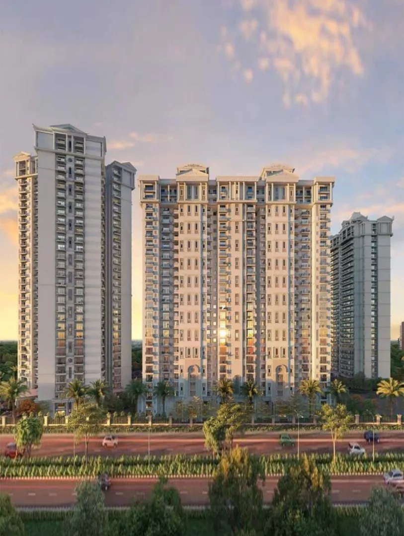 Areas We Serve Near Noida