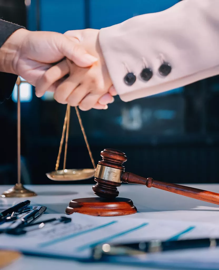 Our Alimony and Maintenance Legal Services in Faridabad