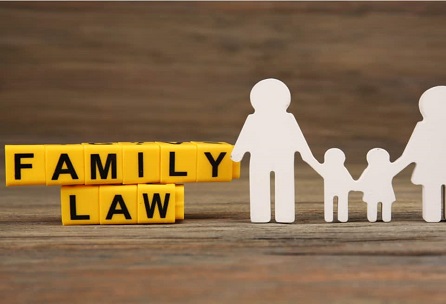 Family Lawyer